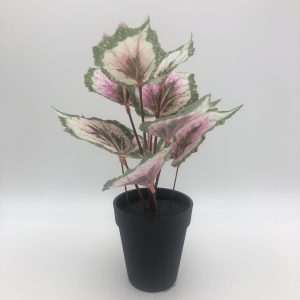 Artificial Begonia Purple/Pink