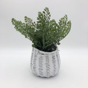 Faux Fern in a White Basket