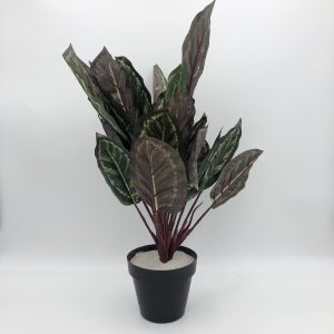 Faux Peacock Plant Medium