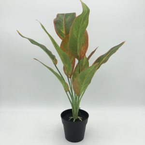 Artificial Plant