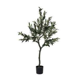 Olive Tree Large