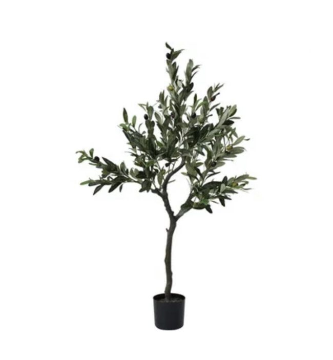 Olive Tree Large